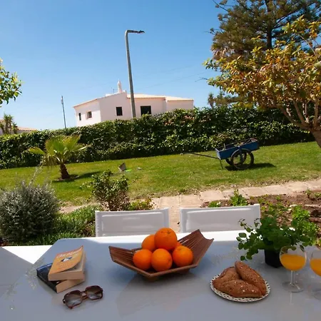 Windmill By Ocvillas