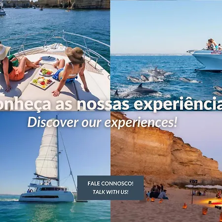 Windmill By Ocvillas